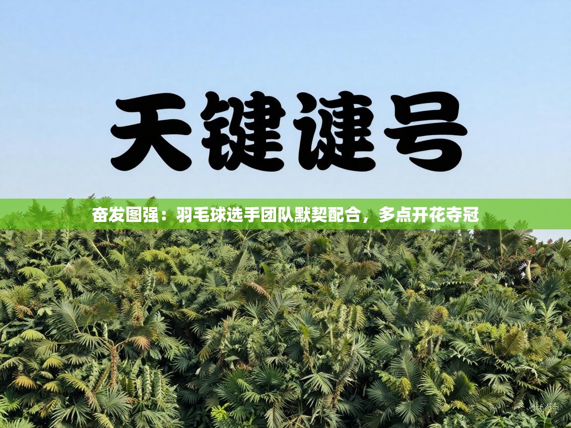 奋发图强：羽毛球选手团队默契配合，多点开花夺冠  第2张